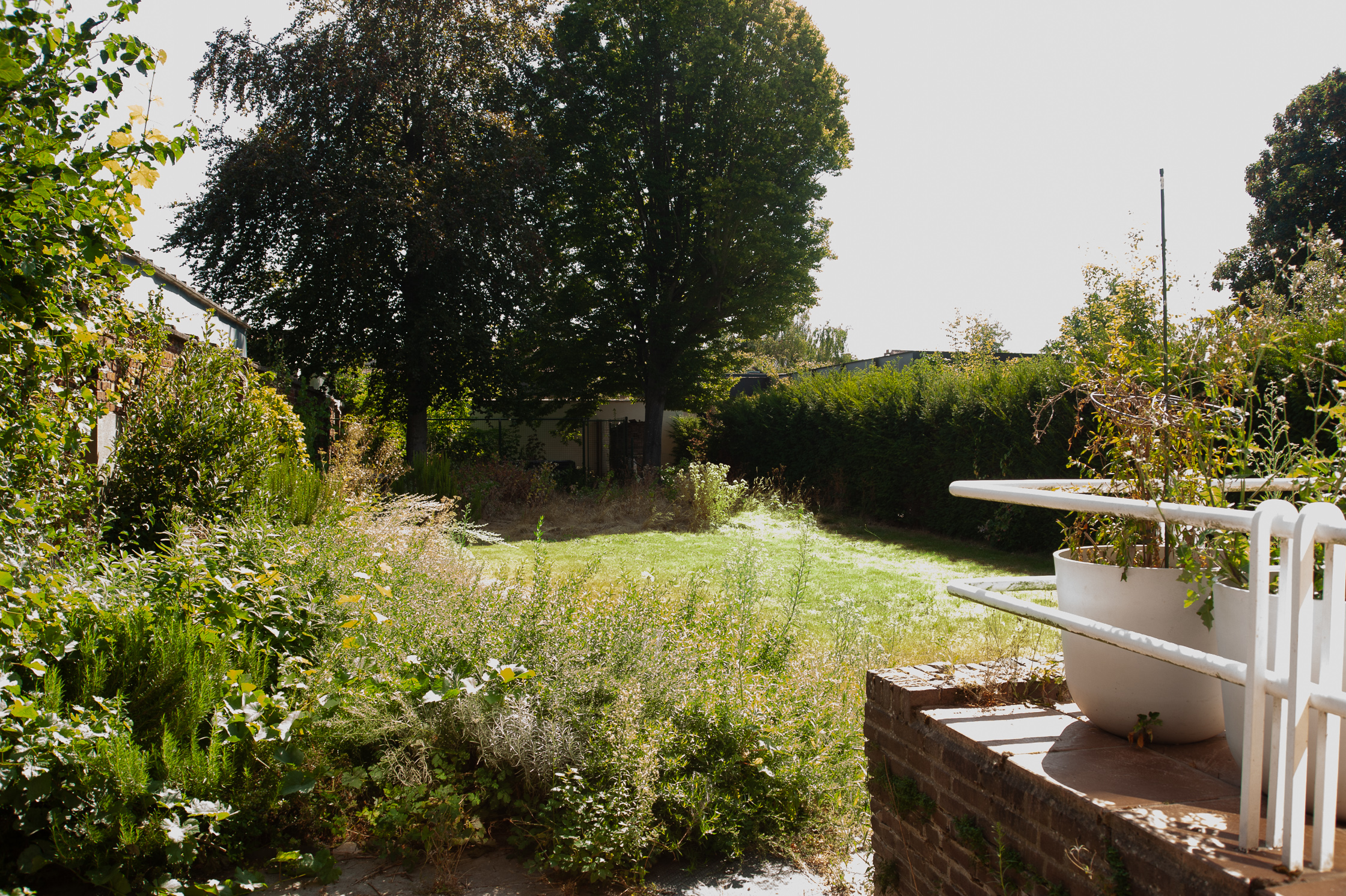 De groene tuin achter het huis